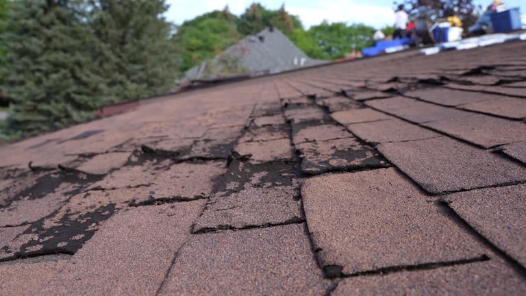 Best Gutter Installation and Repair  in Muncy, PA